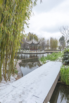 昆明大观公园雪景