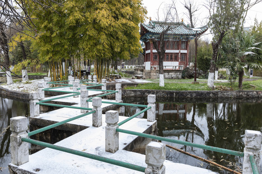 昆明大观公园雪景