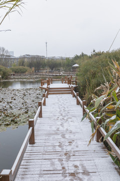 积雪休闲步道荷塘