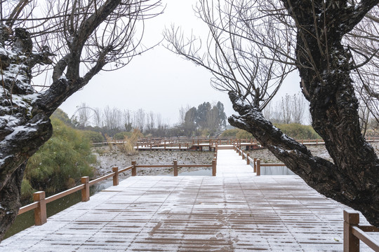 昆明大观公园积雪休闲步道荷塘