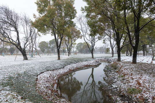 昆明大观公园雪景