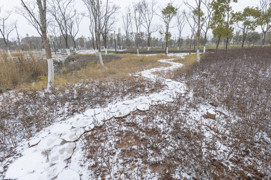 积雪休闲步道