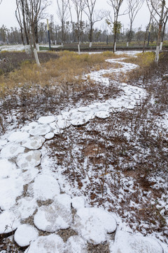 积雪休闲步道