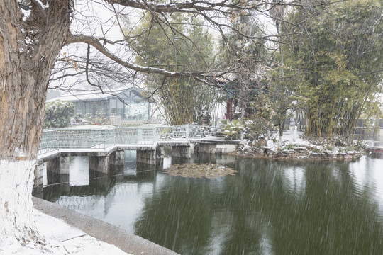 昆明大观公园雪景