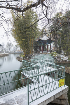 昆明大观公园雪景