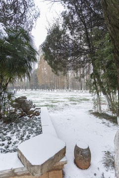 昆明大观公园雪景