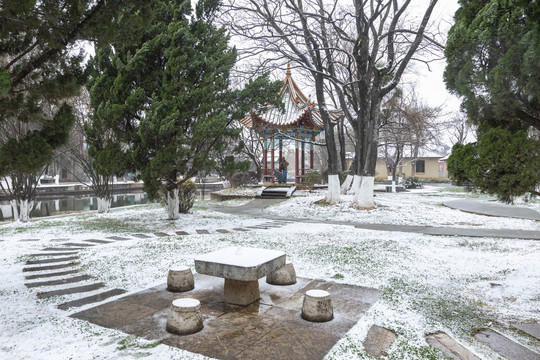 昆明大观公园雪景