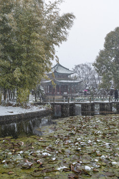 云南昆明大观公园雪景