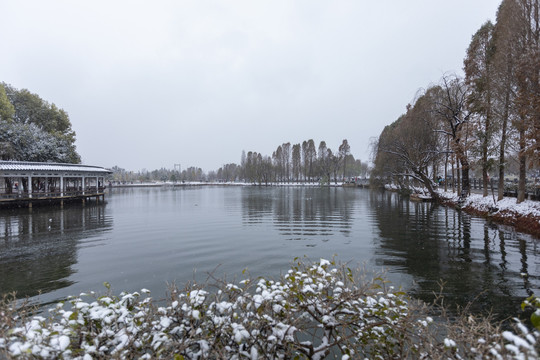 昆明大观公园雪景