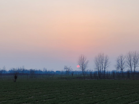 田野上的夕阳