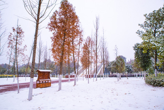 雪景