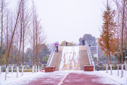 拱桥雪景