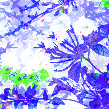 素描鮮花