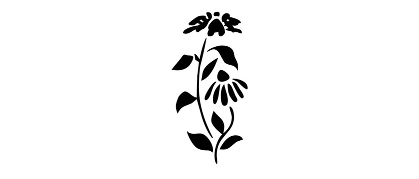 花株