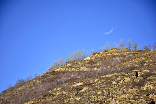 寂山景韵