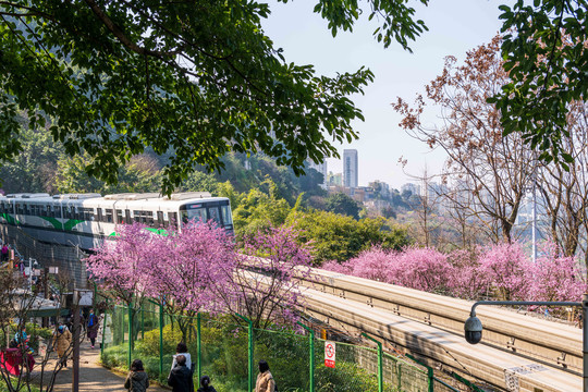 開往春天的列車
