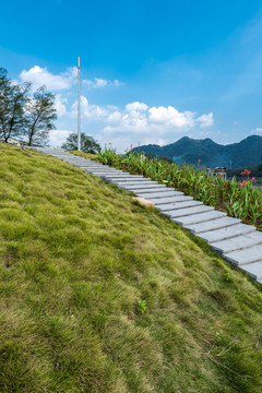 龙溪湿地公园