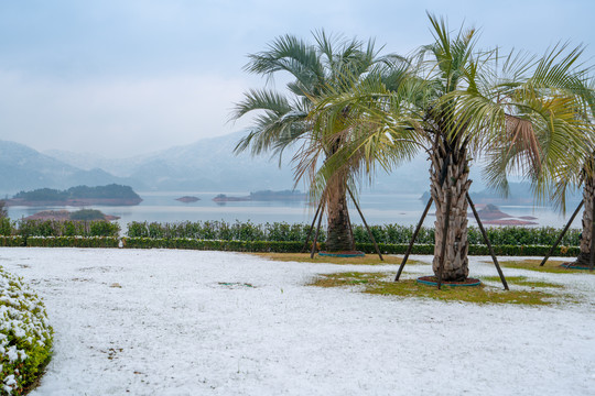 亚热带山水风景