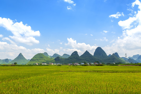 蓝天青山稻田