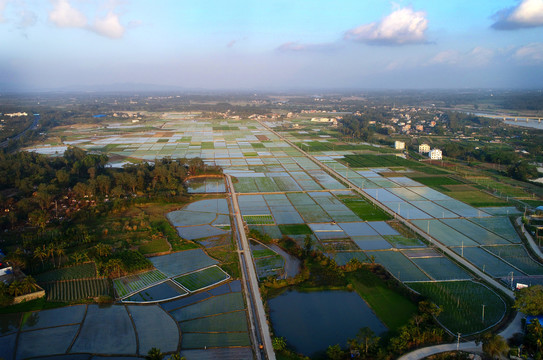 田野