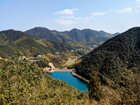 青山绿水