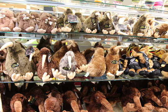 新西兰几维鸟Kiwi毛绒玩具