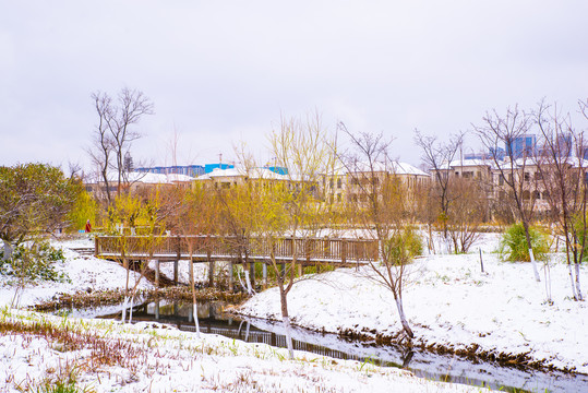 昆明湿地雪景