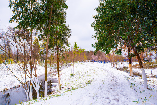 昆明湿地雪景