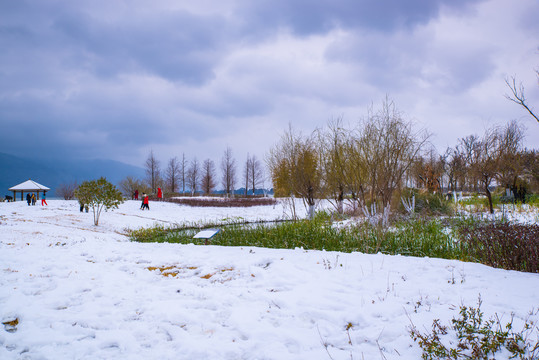 昆明滇池湿地雪景