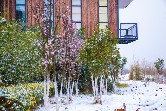 雪地木屋