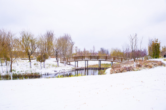 昆明湿地雪景