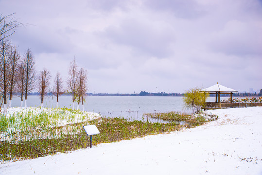 昆明雪景