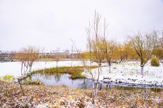 昆明雪景