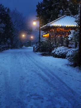 雪景