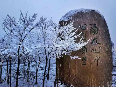 汤里风光