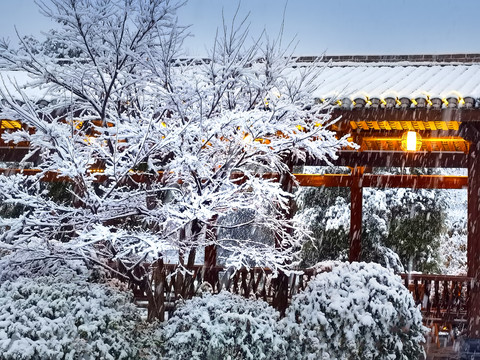 雪景