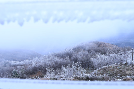 雪景