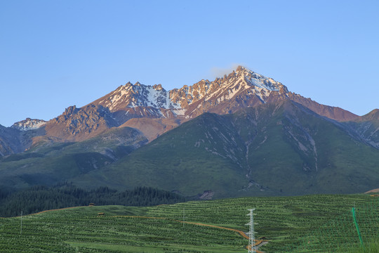 青海祁连牛心山