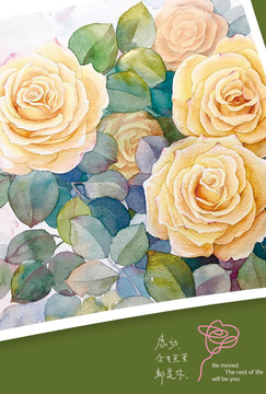 玫瑰花系列明信片