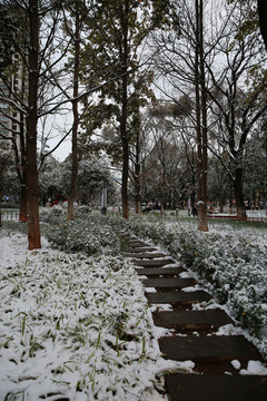 昆明雪景