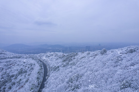 苏州冬天大阳山雪景