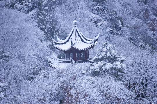 苏州冬天大阳山雪景