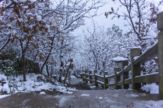 苏州冬天大阳山雪景