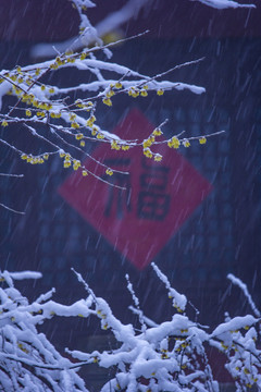 冬天福字与雪