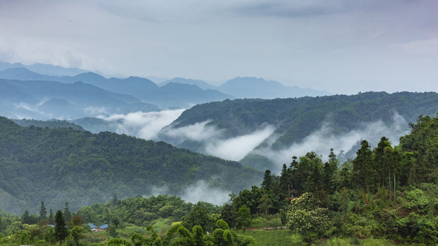 高山沟壑云雾缭绕