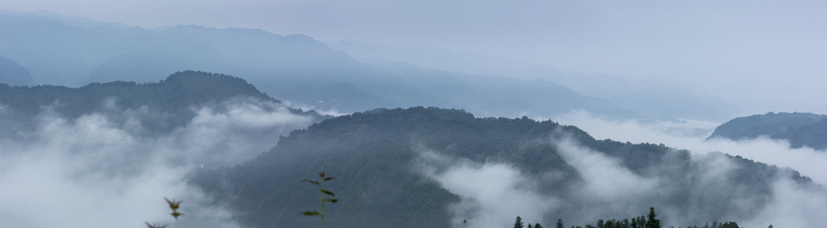 高山沟壑云雾缭绕