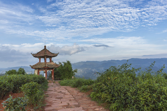 蓝天白云凉亭石板路茶山风光