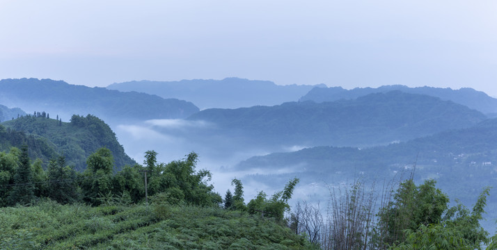 高山沟壑云雾缭绕