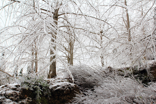 冰雪