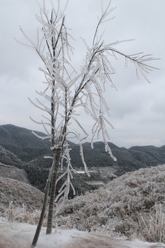 雪景